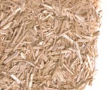 BAFA Unternehmen Bild 4