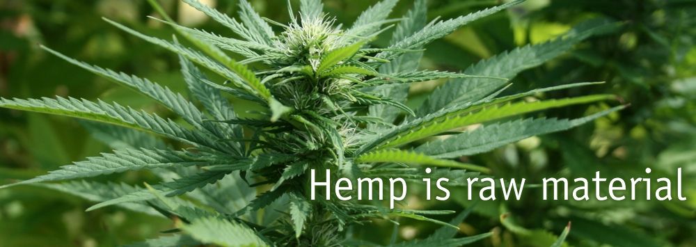BAFA Neu GmbH - The Hemp Pioneer